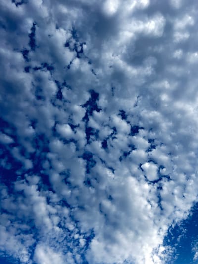 The image shows a sky filled with scattered cumulus clouds. The clouds vary in density and shading, with some areas appearing bright white where illuminated by the sun, and others displaying darker gray tones where they are thicker or casting shadows. The sky itself is a deep blue, creating a contrast with the white and gray clouds. The perspective is looking upwards, capturing a vast expanse of the sky. There are no visible ground elements, buildings, or people. The scene appears to be an outdoor environment, likely during the daytime. There are no specific indicators of Borowa, Poland, within the image itself.
