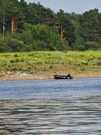This image depicts a serene natural scene by the river in Prutovaya, Russia. In the foreground, the wide expanse of a blue river with visible ripples stretches across the frame. The middle ground reveals a sandy and pebbly riverbank dotted with sparse vegetation. Several people are seen sunbathing on towels on the riverbank. An inflatable boat with an outboard motor is moored near the shore. The background is dominated by a dense forest with a mix of deciduous and coniferous trees, and beyond that, a clear blue sky. The overall impression is one of a tranquil summer day in a rural Russian setting.