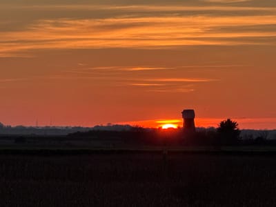 The scene depicts a rural landscape at sunset, located in the Broadland district, United Kingdom, consistent with the Norfolk Broads area. The sky is dominated by intense orange and red hues, transitioning to yellow-orange near the top, with horizontal bands of stratocumulus clouds. The sun, a brilliant orange disc, is positioned low on the horizon, slightly left of the image center, partially obscured by a dark silhouette.
In the mid-ground, a dark, silhouetted tower mill stands against the sun, appearing as a brick structure without sails and topped by a dark, possibly flat or slightly domed cap. To the right of the mill, a dark, conical evergreen tree is visible. A low, dark line of trees and foliage forms the horizon.
In the far background, on the left, faint silhouettes of two slender, pointed structures, likely communication or industrial towers, are visible against the reddish sky. A small flock of dark birds is discernable in the upper-right sky quadrant, above and to the right of the mill.
The foreground consists of a dark, featureless field. A white marker post with dark lettering, reading "BD" above "89W," is present in the lower-left quadrant, standing vertically. No individuals are visible.