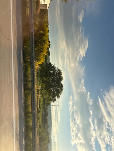 The image displays a landscape scene from the side of a road, possibly in Kareli, Georgia. On the left, a concrete road with a white line is visible, casting long shadows. A metal guardrail separates the road from a field of lush green grass and scattered yellow wildflowers. In the background, a large tree stands prominently, with more trees and rolling hills extending into the distance. Two wind turbines are visible in the far distance. The sky is a clear blue, dotted with wispy white clouds, illuminated by what appears to be late afternoon sunlight. The orientation of the image suggests it was taken in portrait mode and rotated. There are no people or any specific urban structures that definitively place the location within the city of Kareli, Georgia, beyond a general rural or semi-rural setting.