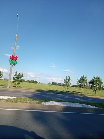 An outdoor, daytime, low-angle, wide shot captures a scene on the outskirts of Буйніцкі сельскі Савет, Belarus. The sky is a clear, bright blue with a few scattered white clouds. In the foreground, a dark asphalt road runs horizontally across the bottom of the frame, with a white stripe marking the lane. Adjacent to the road is a curb and a strip of grass with white gravel. Beyond the grass, a green field stretches into the distance, dotted with several young trees and a line of mature trees on the horizon. A light pole stands prominently on the left side of the image, its metallic surface weathered. Attached to the pole, about a third of the way up, is a cluster of red and green flags arranged in a circular pattern. The flags appear to be made of fabric and are gently waving. A small tree is positioned in front of the light pole, its leaves a vibrant green. The overall impression is a rural or semi-rural landscape under a clear sky.