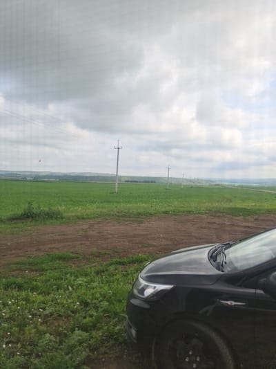 The image shows a black car parked on a dirt road next to a large, green agricultural field under a cloudy sky. The field stretches into the distance, with a row of power lines and utility poles running parallel to it. In the background, rolling hills are visible, suggesting a rural or semi-rural landscape. The car's front passenger side is prominently in the foreground, and its headlights and windshield wipers are visible. The overall scene depicts an overcast day in a seemingly agricultural area, likely Petrovka, Russia, given the context. There are no people visible in the image.