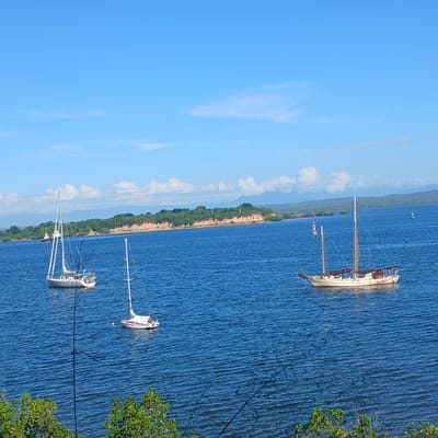 The image depicts a panoramic view of a coastal bay within the city of Tanga, Tanzania, under a clear blue sky with minimal scattered white clouds. The foreground shows the tops of green foliage from an elevated vantage point, partially obscuring the immediate water below. The expansive body of water, characterized by gentle ripples, is deep blue.
Three sailboats are visible, appearing stationary. In the left-midground, a white monohull sailboat with a single tall mast is present. Below it and slightly to the right, a smaller white monohull sailboat with a single mast is positioned. Further to the right, in the mid-ground, a cream-colored ketch or yawl sailboat with two masts and furled dark sails is anchored. In the mid-distance, near the left edge of the distant landmass, a white vessel with a superstructure, possibly a tugboat, is visible on the water. Two navigational buoys are present in the mid-distance: a red conical buoy to the left of the cream sailboat, and a green cylindrical buoy further right, partially obscured.
The distant background consists of a landmass with reddish-brown cliffs along the water's edge, topped by dense green vegetation. Behind this, low, hazy mountains are visible on the horizon. No individuals are discernible on any of the boats or the distant land, and no specific actions or interactions are depicted.