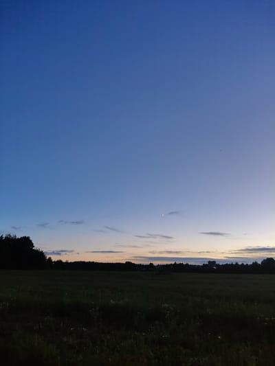 This is a full-frame, landscape orientation photograph of a rural scene at dusk, captured in Fedoskino, Russia. The sky transitions from a deep blue at the top to lighter shades of blue and hints of orange and yellow near the horizon. A thin, crescent moon is visible in the upper portion of the sky, accompanied by a bright point of light, likely a planet. Several wispy clouds are scattered across the sky.

The middle ground features a dark silhouette of a tree line, with scattered trees and what appears to be distant buildings peeking through the foliage. The foreground is dominated by a dark field, with visible vegetation and some lighter-colored flowers or plants scattered throughout. The overall impression is of a quiet, natural environment at the end of the day. There are no people or specific actions depicted in the image.