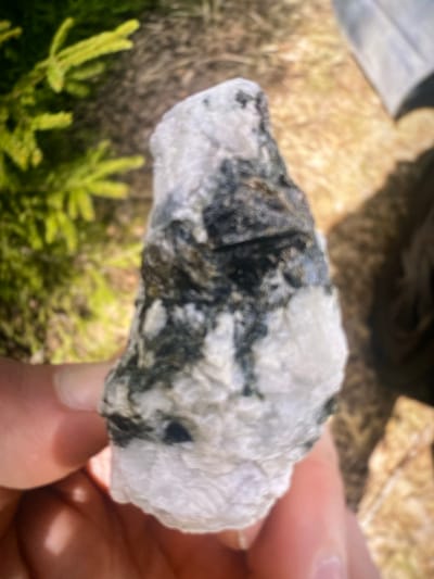 A person's hand is holding a roughly textured, multi-colored rock. The rock is predominantly white with dark green or black veins running through it. In the background, there are blurred green pine needles on the left and a blurry, sunlit ground surface with dried grass and dirt on the right. The overall scene suggests an outdoor environment, likely in Kerava, Finland, given the presence of pine trees and natural ground cover. The lighting indicates it is daytime.