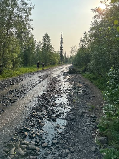 The image depicts a rocky, unpaved road in a wooded area, likely outside the city of Talnakh, Russia. Water flows down the road, creating puddles and a stream-like appearance. Several people, appearing to be hikers with backpacks, are visible walking along the road in the distance. Lush green trees and foliage line both sides of the road, with the sun setting or rising through a hazy sky in the background. A fallen tree branch lies across the road in the mid-ground. The terrain is uneven and appears to be a natural pathway rather than a maintained road.