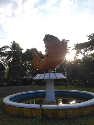 A large, orange-brown fish statue is centrally positioned atop a white fountain in a grassy outdoor area within Cijedil, Indonesia. The fish is angled upwards, displaying scale details. The circular fountain basin features a white outer rim, a blue inner band, and a yellow base, containing dark, reflective water. The immediate foreground is green grass. The background consists of dense, dark green trees, including a prominent palm tree on the left. The scene is backlit by a low sun positioned to the right, causing lens flare and bright highlights against a partly cloudy sky. Two white umbrella-like structures and chairs are faintly discernible in the distant tree line. No individuals or active interactions are present.