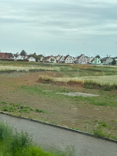 The image depicts a suburban or rural landscape in Memmingen, Germany, under an overcast sky. In the foreground, a grey asphalt road runs diagonally across the lower portion of the frame, bordered by patches of green grass and some yellow wildflowers. Beyond the road, a field is visible, appearing dry and partially harvested, with areas of brown earth and stubble. Further into the middle ground, more fields are present, some with mown hay or straw, and areas of green grass. In the background, a row of residential houses with various roof colors (red, white, green) are situated behind a line of trees and hedges. Some houses are simple, modern structures, while others appear to be older. Power lines and poles are visible above the houses, and a construction crane can be seen to the right. The scene is quiet, with no people or animals visible. The overall impression is one of a typical German countryside bordering a residential area, likely captured during the daytime on a cloudy day.