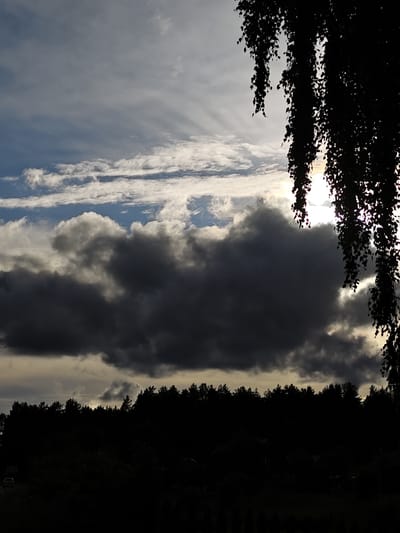 This is a landscape photograph taken in Sudak, Russia, likely during the late afternoon or early evening given the dramatic lighting. The scene is dominated by a dark, silhouetted forest stretching across the lower portion of the frame. Above the forest, a tumultuous sky unfolds. Large, dark storm clouds occupy the middle ground, contrasting with lighter, wispy clouds higher up. Rays of sunlight break through the clouds, creating a dramatic interplay of light and shadow, with some areas appearing almost overexposed where the sun is brightest. In the foreground, on the right side of the image, the dark silhouette of leafy branches hangs down, obscuring part of the sky. A faint hint of what might be a road with a distant vehicle is visible in the lower left, partially obscured by the darkness of the landscape. The overall mood is dramatic and possibly foreboding, with the approaching storm clouds suggesting a change in weather. There is no visible text in the image.