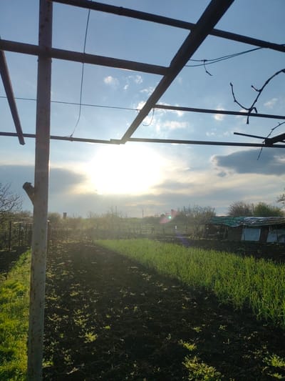 The image depicts an outdoor scene in Krushovo, Bulgaria, taken from a low angle. The foreground features a metal frame structure against a backdrop of a bright, sunlit sky with scattered clouds. In the middle ground, there is a view of cultivated land or a garden with patches of green vegetation and darker soil. In the background, trees and possibly a small building are visible. The overall impression is one of a rural or agricultural setting. The scene is illuminated by sunlight which creates a lens flare.