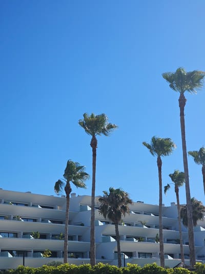 The image depicts a modern, multi-story hotel building with numerous balconies, located in Deveses, Spain. The building is a pale color and features a contemporary architectural design with clean lines and staggered levels. Several palm trees of varying heights are positioned in front of the building, with their fronds swaying in the wind, suggesting a breezy outdoor environment. The sky is a clear, vibrant blue, indicating sunny weather. The foreground shows a dense hedge of green foliage. No people are visible in the scene.