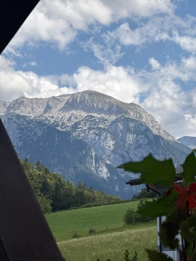 The image captures a scenic mountain landscape in Bischofswiesen, Germany. In the foreground, a dark, textured surface, possibly a roof overhang or balcony railing, occupies the left side, obscuring a portion of the view. To the right, blurred green leaves and hints of red foliage create a natural frame, with a portion of a building's roof visible beneath them.

The midground features rolling green fields, dotted with wildflowers, and a dense treeline of evergreens. Beyond the fields, a majestic mountain range dominates the background. The mountains are characterized by their rugged, rocky slopes, with patches of snow or light-colored rock interspersed with dark, forested areas. The sky above is a mix of blue patches and fluffy white clouds. The overall impression is one of a tranquil, natural environment.
