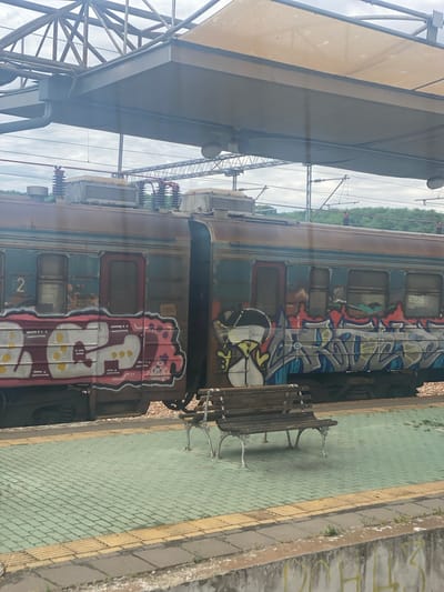 An eye-level, medium shot captures a graffiti-covered train stopped at a station platform in Rakovica Urban Municipality, Serbia. The train, appearing weathered with rust and peeling paint, is adorned with vibrant, colorful graffiti tags that cover much of its exterior. The platform itself is paved with green interlocking bricks, bordered by tactile paving strips of yellow. A single wooden bench with ornate metal legs sits on the platform, facing the train. Overhead, a large metal canopy supported by beams provides shelter, with visible electrical wires and insulators from the train's overhead power system. The background consists of a treeline under a cloudy sky.