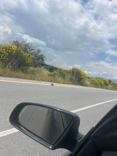 The image captures a scenic view from the perspective of a car traveling on an asphalt road, looking out towards the adjacent landscape. On the far right, a black side mirror of the vehicle is prominently visible, reflecting a portion of the road behind. A segment of the car's dark body is also seen along the right edge.

The road itself, visible in the lower and central-right parts of the frame, is smooth asphalt with clear white lines marking the shoulder and a dashed lane divider. To the left of the road, a wide verge is covered with green grass, interspersed with numerous bushes and small trees laden with bright yellow flowers, possibly common broom (Cytisus scoparius) or similar wild flora common in spring. Hints of reddish flowers, likely poppies, are also visible among the grass in certain areas.

Above the verdant roadside, a vast, partly cloudy sky dominates the background. It features patches of light blue intermingled with soft, voluminous white and light grey clouds, suggesting a bright day with significant cloud cover. No people or artificial structures are discernable within the frame. The overall scene depicts a peaceful journey through a natural, rural setting, consistent with areas found in Marino Pole, Bulgaria. The time of day appears to be daytime. There is no visible text in the image.