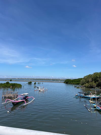The image depicts a wide, calm body of water, possibly a river or bay, under a bright blue sky with scattered white clouds. Several traditional outrigger boats, commonly seen in Indonesia, are moored or gently drifting on the water. The boats vary in color, with some featuring pink and white outriggers and others painted in darker hues with white canopies. On the left side of the frame, a cluster of mangrove trees is visible, with some of their roots submerged in the water. In the distance, a long, narrow structure, possibly a seawall or bridge, stretches across the water, with a line of buildings and lush greenery visible beyond it, suggesting an urban or semi-urban coastal environment. The right side of the image is dominated by dense green trees, creating a natural backdrop to the waterway. The scene appears peaceful and serene, capturing a typical day in a coastal area. The location is identified as South Denpasar, Indonesia, a region known for its coastal landscapes and traditional fishing communities.