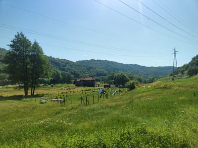 The image depicts a pastoral scene with rolling hills covered in lush green vegetation under a clear blue sky. In the foreground, a grassy meadow slopes upwards, dotted with wildflowers. A fenced-in area in the mid-ground contains what appears to be an agility course for dogs, with various colorful obstacles like ramps and tunnels. Behind this, a rustic, red-roofed building with weathered walls stands prominently, suggesting it is an old farmhouse or barn. Further back, more trees and hills form a dense, verdant landscape. Power lines crisscross the sky, and a tall electricity pylon is visible on the right side of the image. A small cluster of sheep can be seen grazing in the distance near the farmhouse. The overall impression is one of rural tranquility and natural beauty, with hints of agricultural or recreational activity.
