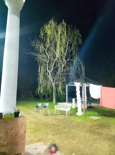 The image depicts a night scene in the backyard of a property, likely in José C. Paz, Argentina. A large, bare-branched tree with drooping foliage dominates the center of the frame. To the right of the tree, a gazebo with a dark roof and white supports is visible. White and pink fabric are draped over a clothesline outside the gazebo. In the foreground, to the left, a portion of a large white pillar is present. A small table or surface next to the pillar holds a mate gourd with a metal straw and a green rectangular object. Two empty chairs are placed on the grassy lawn in front of the tree, and a white ornate bench sits further to the right. The ground is covered in grass and dirt. A faint beam of light cuts across the upper right portion of the image, suggesting artificial illumination. The overall impression is of a dimly lit outdoor space at night.