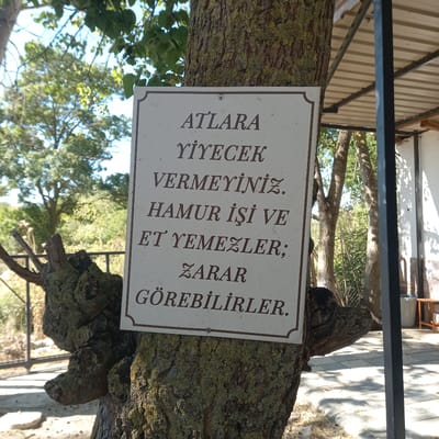 A sign with dark brown text on a cream-colored background is affixed to a tree. The text appears to be in Turkish. The sign is bordered by a dark brown line and has a decorative, scalloped edge. The tree has rough, textured bark and is surrounded by greenery and sunlight. In the background, a building with a corrugated metal roof and a dark metal post are visible, along with a paved area and more trees. The sign reads "ATLARA YİYECEK VERMEYİNİZ. HAMUR İŞİ VE ET YEMEZLER; ZARAR GÖREBİLİRLER." This translates to "DO NOT FEED HORSES. THEY DO NOT EAT DOUGH PRODUCTS AND MEAT; THEY CAN BE HARMED." The image is likely taken in an outdoor setting, possibly a park or rural area near Çatalca, Turkey, given the mention of horses.