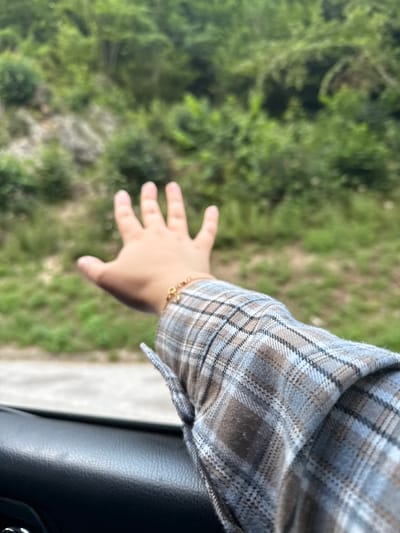 A person's arm, clad in a blue and brown plaid shirt and wearing a gold bracelet, extends from the frame of a vehicle. The hand is open, palm facing outwards, reaching towards a blurred background of lush green foliage and rocky terrain, suggestive of a natural landscape. The foreground shows a portion of the vehicle's dark, textured interior. The location in Berchtesgaden, Germany, is not discernable from the visual evidence in the image.