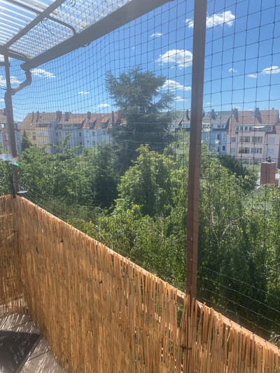 The image shows a view from a balcony or rooftop enclosure in Hildesheim, Germany. A black safety net is prominent in the foreground, stretched across a wooden frame. Below the net, a barrier made of vertical bamboo poles runs along the edge of the enclosure. Beyond this, a dense canopy of green trees fills the midground. In the background, a row of multi-story buildings with red-tiled roofs and cream-colored facades are visible. The sky above is blue with scattered white clouds. The scene appears to be a residential area on a sunny day.