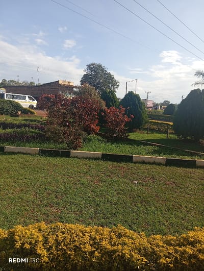 A vibrant garden scene unfolds under a bright sky. Yellow flowers border the lower view, transitioning into a green lawn dotted with a small white object. Above, a terraced garden is defined by a striped border. Red and green shrubbery fills the middle ground, backed by taller trees and a building. A white van is visible in the background to the left. Utility poles and wires stretch across the sky.