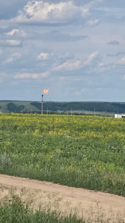 In a rural landscape near Derevnya Yekaterinovka, Russia, a flare stack burns brightly with an orange flame, situated in a field of green vegetation interspersed with yellow wildflowers. The flare stack rises from a tall metal structure, with a few scattered utility poles visible in the middle ground. The background features a dense line of dark green trees bordering rolling hills under a cloudy sky. In the foreground, a dirt path runs diagonally across the frame, bordered by tall green grass and other vegetation. The overall scene depicts an industrial element within a natural, agricultural setting.