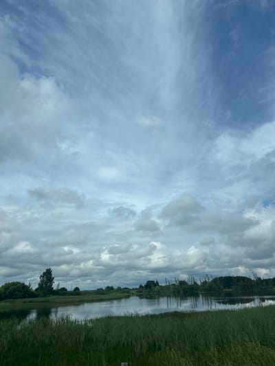 The image depicts a serene natural landscape, likely in or near Докшыцкі сельскі Савет, Belarus. The scene is dominated by a wide expanse of sky filled with dramatic clouds. The clouds range from thin, wispy cirrus formations to denser, more textured cumulus clouds, creating a dynamic and somewhat moody atmosphere. Below the sky lies a calm body of water, reflecting the cloudy sky and the surrounding vegetation. The water's surface is smooth, suggesting a lack of wind.

The foreground is characterized by tall, lush green grass and reeds, adding a sense of depth and organic texture to the composition. In the middle ground, the opposite bank of the water is lined with dense trees and bushes, with a variety of green foliage. A few scattered trees stand out, including one taller, more prominent tree. The overall environment appears to be a rural or natural area, possibly a lake or a slow-moving riverbank, typical of the landscape in Belarus. There are no visible people, animals, or man-made structures that distract from the natural beauty of the scene. The lighting suggests it is daytime, with the clouds diffusing the sunlight.