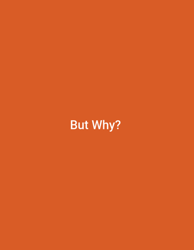 The image features an orange background with the text "But Why?" centered in white. The text is simple and lacks any distinct font style or embellishments. The orange background is solid, with no other visible patterns or details.