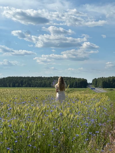 In a field of grain and wildflowers, a young woman with long blonde hair stands with her back to the camera, holding a bouquet of blue flowers. She is wearing a light-colored dress. The field is densely populated with stalks of grain and numerous small blue flowers, likely cornflowers. In the distance, a dense line of green trees forms the horizon, beyond which a paved road is visible, with traffic signs. The sky above is a bright blue, dotted with fluffy white clouds. The overall impression is one of a serene natural landscape under a clear sky. This scene is located within the municipality of Parytski Sel'ski Savet, Belarus.