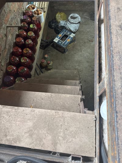 The image shows a dimly lit, dusty cellar or storage area with concrete floor and brick walls. A wooden staircase with worn steps leads down into the space. On a shelf along the brick wall, several jars filled with preserved fruit, likely cherries or plums, are neatly arranged. Two white containers of chicken eggs are also visible on the shelf. In the background, there are several bags, one yellow and one white, and a small cardboard box. The overall impression is one of a utilitarian storage space, possibly in a residential building or a small business in the city of Otradny, Russia, used for preserving food items. There are no people or animals present in the image.