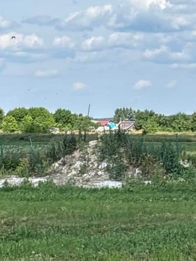 This is a blurry, medium-distance, outdoor photograph taken on a sunny day with a partially cloudy sky. The scene appears to be rural, possibly in or near Ves', Russia, with a mix of natural and man-made elements. In the foreground, there is a grassy field with some scattered debris. Behind the field, there is a mound of white and grey material, possibly construction debris, covered with vegetation. Further back, a line of lush green trees forms a backdrop. Nestled within the trees are a few buildings with red and blue roofs, suggesting a small settlement or farmstead. There is a single bird in flight in the upper left quadrant of the sky. The overall impression is one of a somewhat unkempt, rural landscape under a bright sky.