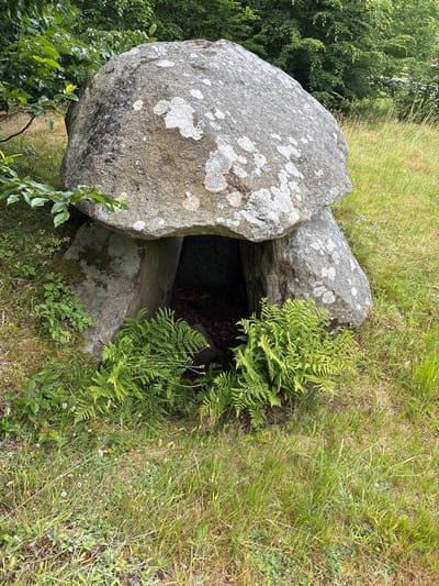 The image shows a dolmen, an ancient megalithic tomb, located in a grassy, overgrown area surrounded by trees. The dolmen is made of large, rough stones. A massive, capstone rests on two upright supporting stones, creating an opening underneath. Ferns and other green vegetation grow around the base of the dolmen. The ground is covered in grass and some scattered leaves. The overall scene suggests a natural, somewhat wild environment. The dolmen is identified as being located in Jyderup, Denmark.