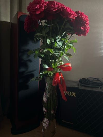 A bouquet of deep red roses tied with a red ribbon sits in a clear glass vase adorned with a floral pattern. The vase is positioned in front of a large, dark speaker cabinet with a wooden frame. To the right of the speaker, a black VOX Valvetronix amplifier is visible with a coiled black cable resting on top. The scene is dimly lit, casting shadows on the wall behind the subjects. The overall impression is that of a still life arrangement in an indoor setting, possibly a home or studio, with no people present and no indication of the location being Borisoglebsk, Russia.