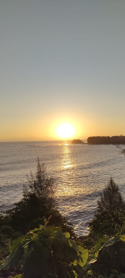 This image captures a sunset over the ocean in Crakmong, Indonesia. The sun, a brilliant orb of yellow and white, is positioned near the horizon, casting a shimmering golden path across the water. To the right, a dense line of trees forms the coastline, with a small rocky island visible in the distance. In the foreground, lush green foliage partially obscures the view of the sea. The sky transitions from a pale blue at the top to a warm yellow near the horizon. The water appears calm with gentle waves. The scene is serene and natural, depicting a coastal landscape at dusk.
