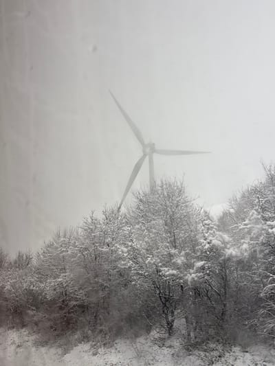 The image depicts a winter landscape in Görlitz, Germany. A large, three-bladed wind turbine is centrally positioned in the upper frame, partially obscured by a heavy, grey atmospheric haze consistent with fog or falling snow. The turbine's blades are angled and appear stationary. Below the wind turbine, a dense expanse of deciduous trees, stripped of leaves, stretches across the mid-ground and foreground, their branches and entirety heavily coated in white snow. The ground visible beneath these trees is also uniformly covered by snow. The upper left quadrant of the image contains minor visual artifacts, potentially indicating precipitation on a lens surface. The scene portrays cold, low-light winter conditions with reduced visibility. No individuals, animals, or explicit actions are present within the frame.