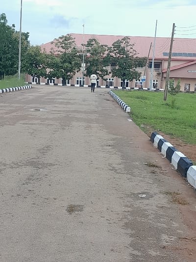 The image displays an outdoor scene in Ezzamgbo, Nigeria, featuring a paved access road leading towards a multi-story building under an overcast sky. The gray asphalt road, exhibiting moderate wear, minor cracks, and scattered debris, extends from the foreground into the midground. It is delineated on both sides by curbs painted in alternating black and white stripes. A single individual, seen from behind, walks centrally on the road, progressing away from the viewer towards the background building. This person is attired in a light-colored t-shirt with a dark design on the back and dark-colored trousers. A line of several mature trees with dense green foliage is positioned between the road and the building, partially obscuring the structure. The prominent background building is a large, multi-story structure with a light-colored facade and a reddish-brown tiled or corrugated metal roof. Multiple rectangular windows and what appear to be entranceways are visible along its front. Several rows of dark-colored solar panels are installed on the right section of the building's roof. Two slender utility poles are also visible on the right side of the image, near the building. Patches of green grass and exposed soil are present along the verges of the road.