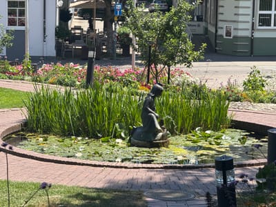 This image captures a serene outdoor scene in Biberach an der Riß, Germany, likely in a public square or park area adjacent to commercial establishments. In the foreground, a circular pond is filled with lush green lily pads and several white water lilies. A small bronze statue of a child sitting by the pond serves as a fountain, with a gentle stream of water emerging from it. Tall, green reeds surround the pond, creating a natural barrier. A red brick pathway curves around the pond, bordered by well-maintained grass.

Behind the pond, a vibrant flowerbed bursts with a variety of colorful blossoms in shades of pink, red, yellow, and white. In the background, several tables and chairs are set up under large umbrellas, suggesting an outdoor seating area for a cafe or restaurant. Adjacent buildings with light-colored facades and green accents are visible, with windows displaying reflections of the surrounding environment. A street with a silver car parked on it is also present, indicating the urban setting. The overall ambiance is peaceful and well-kept, highlighting a charming blend of nature and urban life.