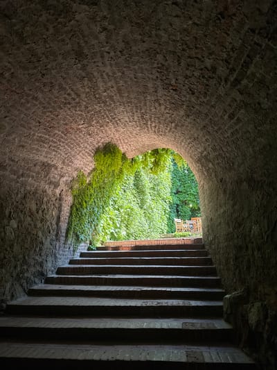 An arched brick and stone passageway in Petrovaradin, Serbia, features a set of ascending brick steps leading towards a brightly lit exterior. The tunnel's ceiling is constructed from dark, weathered reddish-brown bricks, transitioning to rough, grey stone walls along the lower sections. Light enters from the far end, illuminating the upper steps and a vibrant display of dense green foliage, likely ivy, cascading from the archway's left side and covering surfaces beyond the exit. Visible through the archway's opening are several light-colored wooden chairs and tables, suggesting an outdoor seating area nestled within a lush, green environment. The lower steps and the tunnel's immediate interior are cast in deep shadow, emphasizing the contrast with the bright exterior. No people or active subjects are present. The architecture and verdant setting are consistent with areas found within the historic Petrovaradin Fortress.