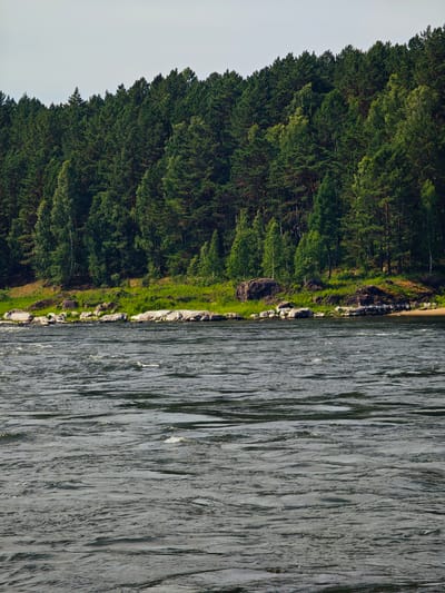 The image captures a wide, rippling river flowing in the foreground, its surface a mosaic of dark grey and lighter grey streaks reflecting the sky and surrounding trees. Along the bank, a rugged shoreline is visible, characterized by scattered large, pale grey rocks and a sandy patch. Behind the rocks and sand, a dense forest of various green trees ascends a gentle slope. The trees are a mix of coniferous and deciduous, with the dominant dark green of pines contrasting with lighter, brighter greens of other species. The forest canopy forms a thick, unbroken line across the horizon. The sky above is a pale, overcast grey. The scene is devoid of any human presence or activity. This is likely a view of the river in Porog, Russia, given its natural and wild appearance, characteristic of such regions.