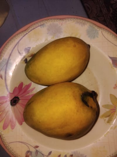Two ripe mangoes are presented on a decorative plate. The plate has a light-colored base with floral patterns in pink, purple, and light blue. The rim of the plate is decorated with a dotted texture and a thin pink border. The mangoes are a vibrant yellow-orange color, with the lower mango showing some darker, bruised areas near its stem. The background appears to be a dark, textured surface, possibly a table or fabric. The image is a close-up shot, focusing entirely on the mangoes and the plate they are resting on. The setting suggests a domestic environment within Haveli Jhangranwali, Pakistan, likely a kitchen or dining area.