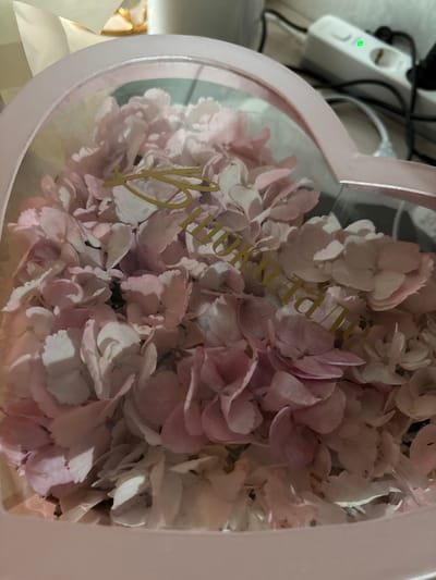 The image shows a heart-shaped pink box filled with light pink and white hydrangeas. A gold cursive text is overlaid on the flowers, which appears to read "You are loved". The box is clear, allowing the flowers to be seen. In the background, out of focus, is a white power strip with a green light illuminated, and various cables. The scene is indoors, with a hint of wooden surface visible. There are no people present in the image. The location is not specified in the image, but the user has requested to include the city of Siberia, Russia. As this is not deducible from the image, it cannot be provided.