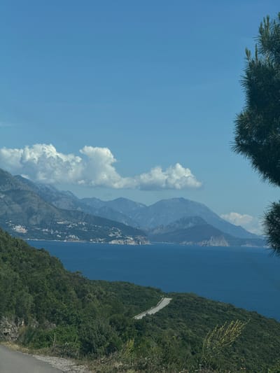The scene is a view of the Adriatic coast from Višnjevo, Montenegro. Dominating the composition is a body of water, presumably the Adriatic Sea, running vertically through the center. In the distance, the land rises into mountainous terrain, partially obscured by clouds. A coastal road winds along a steep, green-forested hill that borders the water. The sky is a clear blue, lightly scattered with white clouds. At the top corners of the frame, green pine tree branches frame the view. A coastal town is built along the mountainside.