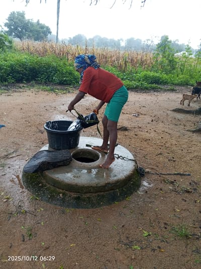 An individual is depicted drawing water from a well in Kamantan, Nigeria, on October 12, 2025, at 06:29. The person, barefoot and dressed in a red short-sleeved top, green shorts, and a blue patterned headwrap, stands on the wet, circular concrete rim of the well. They are bent over, holding a black container by a rope or handle, pouring water into a black plastic basin situated beside the well opening. A dark, irregular object, possibly wood or stone, rests on the well rim to the left of the opening. A metal chain is draped across the well structure and extends onto the muddy ground. A single brown sandal is visible on the well rim near the person's foot. The ground is wet, uneven, and composed of bare earth with sparse vegetation and small debris. In the background, to the left, is dense green foliage. A field of dry, tall crops, likely maize, stretches across the mid-ground. Further back, trees are visible against an overcast sky. To the right, two goats, one light brown and one darker, are present in the distance.
