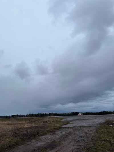 The image, taken in Povarenki, Russia, presents a desolate rural landscape under an expansive, overcast sky. The horizon is dominated by a dense, dark line of coniferous trees stretching across the frame, separating the sky from the terrestrial elements.
The upper portion of the image is filled with a vast expanse of heavy, grey clouds, indicating an overcast day with no direct sunlight. The lighting is diffused and even, suggesting either a gloomy daytime or perhaps twilight.
Below the tree line, on the right side of the image, runs a prominent dirt or gravel road, which appears damp and rugged. On the left side of this road, the ground is covered in dry, light brown grass and sparse, bare bushes, characteristic of a late winter or early spring environment.
A small, dark red or maroon car is visible on the road in the mid-ground, positioned slightly to the right of the center, facing the viewer. Its front is partially visible, suggesting it is either parked or moving slowly. No people are visible in the scene, and no specific activity is taking place other than the implied presence of the car. There is no visible text. The overall impression is one of quiet solitude and natural austerity under a subdued sky.