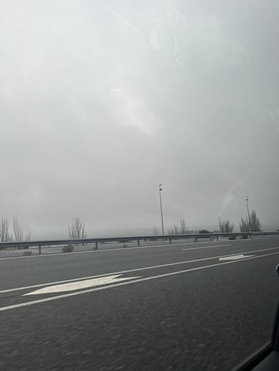 The media file presents an aerial or elevated perspective from a moving vehicle on a multi-lane highway or expressway. The road, made of dark asphalt, stretches into the distance under an overcast sky. White lane markings, including solid and broken lines, delineate the lanes, and large white directional arrows are painted on the road surface, indicating a forward path.

To the left of the road, a metal guardrail separates the traffic lanes from the shoulder or median. Along this side, several streetlights or lampposts are visible, with one in the middle distance having a small bird perched on its arm. Beyond the guardrail and lampposts, a line of bare trees or bushes suggests a winter or early spring season. The distant landscape appears hazy or obscured by fog, blending into the uniformly grey and white sky, which dominates a large portion of the frame. The sky itself shows soft, diffused light, indicating a cloudy daytime. Reflections, possibly from a vehicle's dashboard or window, are visible in the upper left corner, partially obscuring the sky.

The overall impression is one of travel on a tranquil, perhaps somewhat desolate, road. The grey tones throughout the image contribute to a muted, subdued atmosphere. There is no discernible text visible in the image. Given the context, this highway scene is located in Guadarrama, Spain.