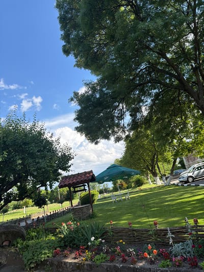 This image depicts a well-maintained outdoor area in Zlati Voyvoda, Bulgaria, under a bright, clear blue sky with scattered cumulus clouds. No people are present.
The scene is dominated by lush green foliage from numerous deciduous trees. A large tree canopy occupies the upper right and center, while another substantial tree is prominent on the left. In the mid-ground, a line of trees with white-painted trunks borders a paved area on the right.
The ground consists of a neatly mown green lawn that slopes gently upwards towards the right. In the foreground, a stone planter or retaining wall contains a vibrant assortment of flowering plants and green foliage, including red, orange, yellow, and white blossoms. Behind this planter, a rustic wattle fence, constructed from interwoven branches and adorned with small red-capped decorative elements, delineates a border.
To the right of the foreground tree and behind the fence, a traditional stone well with a gabled roof covered in reddish-brown tiles stands prominently. An outdoor seating area is visible on the lawn in the mid-ground, featuring a large open green umbrella, possibly branded with "Plzeňský Prazdroj," shading white outdoor tables and chairs.
In the upper right background, several vehicles are parked on an asphalt surface, including a silver hatchback/SUV and at least one darker sedan. Partially visible behind the trees and cars is an older building with stone or stucco details. The sunlight is bright, casting distinct shadows on the lawn, indicating a clear, sunny day.