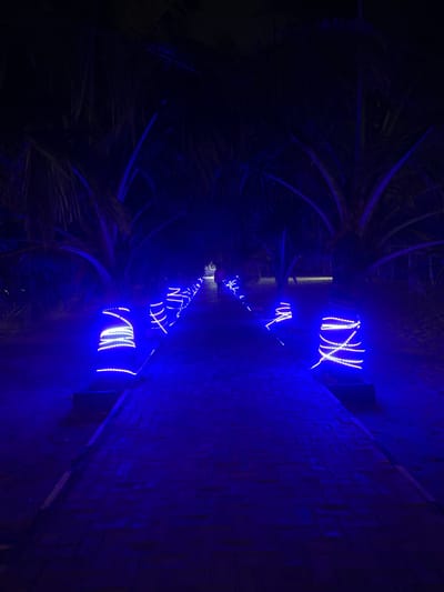 The image shows a pathway lined with palm trees decorated with blue LED lights at night. The pathway appears to be paved with dark bricks. The lights on the palm trees are wrapped around their trunks in a spiral pattern. A person is walking away from the camera in the distance on the pathway. The scene is dimly lit, with the blue lights providing the primary illumination. The overall ambiance is festive and atmospheric. This scene is located in Mopo-Akinlade, Nigeria, at a location likely used for events or attractions due to the decorative lighting.