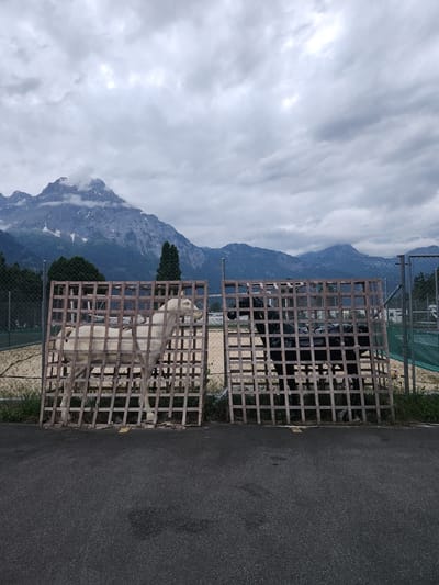 A statue of a white lion stands in a cage by a road, against the backdrop of a mountain under a cloudy sky. The location is Altdorf (UR), Switzerland.