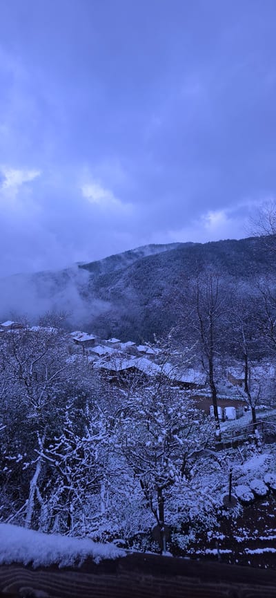 The image depicts a winter scene, likely in Breze, Bulgaria, with a heavy snowfall blanketing the landscape. A forested mountain rises sharply to the left, its slopes densely covered in snow-laden trees. Fog or low clouds partially obscure the lower reaches of the mountain. To the right of the mountain, a small village or settlement is visible, with snow-covered roofs of houses nestled among trees. The foreground is dominated by branches and foliage heavily laden with snow. A fence runs along the right edge of the frame. The overall impression is one of a cold, snowy day in a mountainous region.