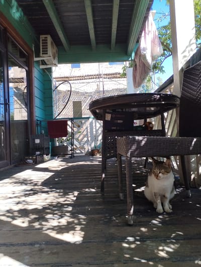 A domestic cat with brown and white markings sits on a wooden deck under a table with a woven surface. The cat is facing left with its eyes half-closed. The deck is partially covered in sunlight and shadow patterns from overhead foliage. In the background, a blue-painted wooden wall and a metal railing are visible, along with a clothes rack holding a maroon towel and some grey plastic crates stacked nearby. Beyond the railing, construction is in progress with visible brickwork and scaffolding. An air conditioning unit is mounted on the blue wall. A portion of a large, woven armchair is also visible to the right. The overall scene suggests an outdoor seating area.